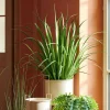Plantes Artificielles^CASA ALLIUM Herbe Ornementale Vert