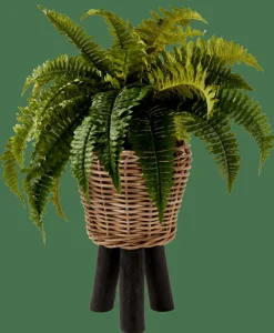 Plantes Artificielles^CASA BOSTON Fougère Vert