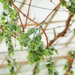 Fleurs Artificielles^CASA CHRYSANTHEMUM Fleur Artificielle Beige