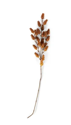 Vases^CASA DAME JEANNE Dame Jeanne Brun