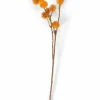 Fleurs Artificielles|Automne^CASA DANDIL Tige Orange