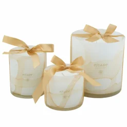 Bougies Parfumées|Bougies^CASA ESCAPE SENSES Bougie Parfumée Dans Un Verre Multicolore