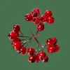 Branches Artificielles^CASA FOAM Déco églantier Rouge