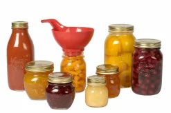 Huiliers^CASA GRIP Huilier Noir, Transparent