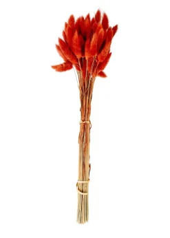 Fleurs Artificielles^CASA LAGURUS Lagure Ovale Naturel