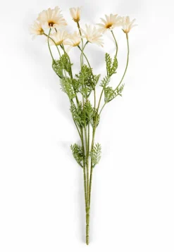 Vases^CASA LINDE Vase Beige