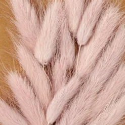 Branches Artificielles^CASA MINA Cloche Avec Déco Séchée Rose