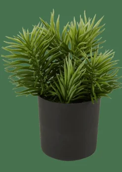 Plantes Artificielles^CASA MOHAVE Diverses Couleurs