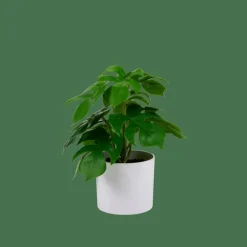 Plantes Artificielles^CASA MONSTERA Plante Diverses Couleurs