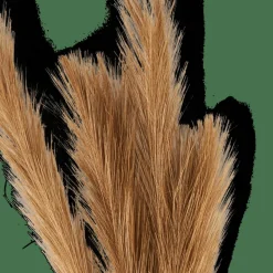 Branches Artificielles^CASA PLUME Plumes Décoratives Brun