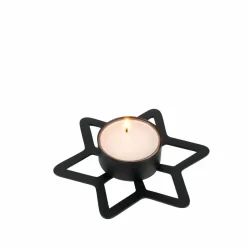 Fleurs Artificielles^CASA STAR Décoration Séchée