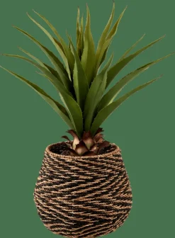 Plantes Artificielles^CASA VERA Aloe Vera Vert