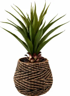 Branches Artificielles^CASA VERA Plante Grasse Sur Tige Vert